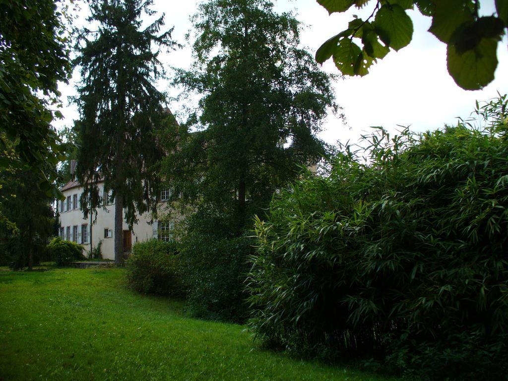 Château De Werde Matzenheim Exterior foto