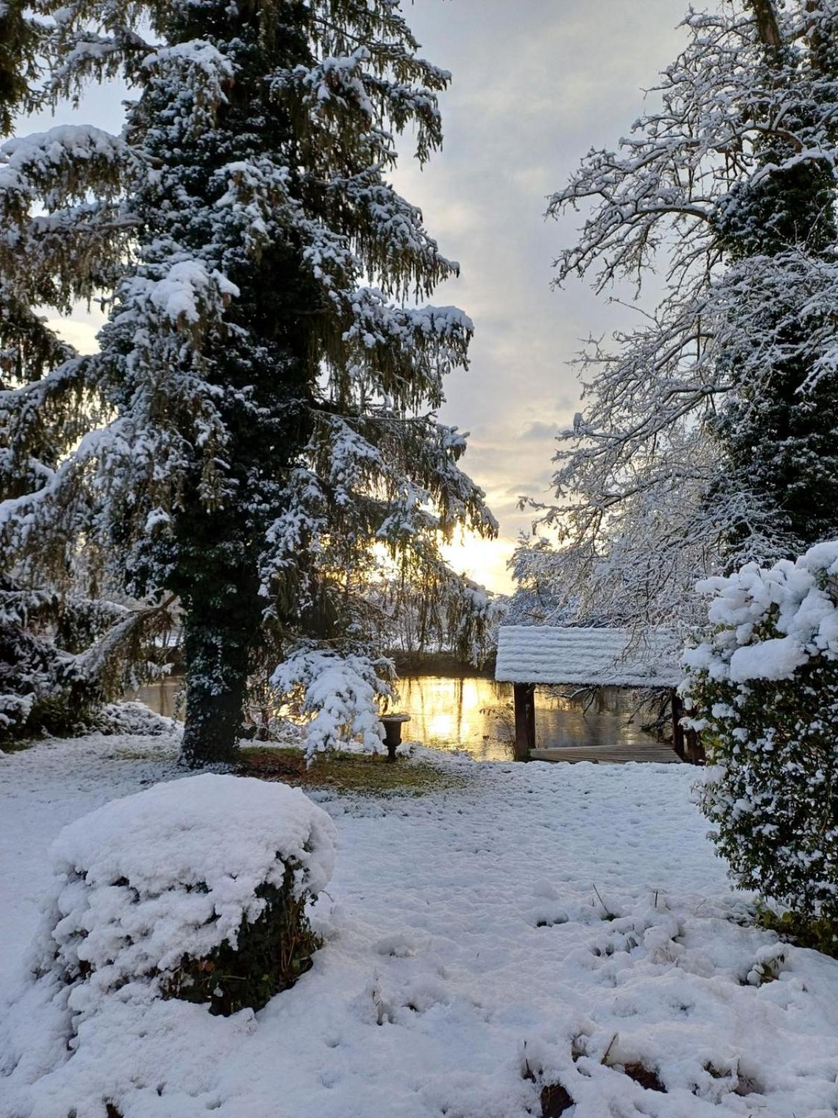 Château De Werde Matzenheim Exterior foto